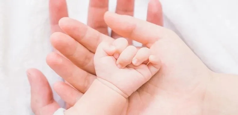 最新提醒!即日起,新生兒出生醫學證明線上查詢!!