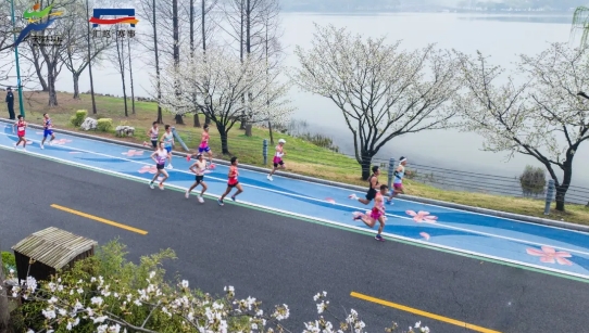 錫馬將至，市民觀賽指南來了！