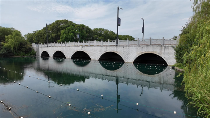 無錫蠡湖水域啟動“種草”行動，“水下荒地”加速成為“水下森林”